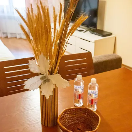 Cozy And Warm With A Separate Bedroom Banszko